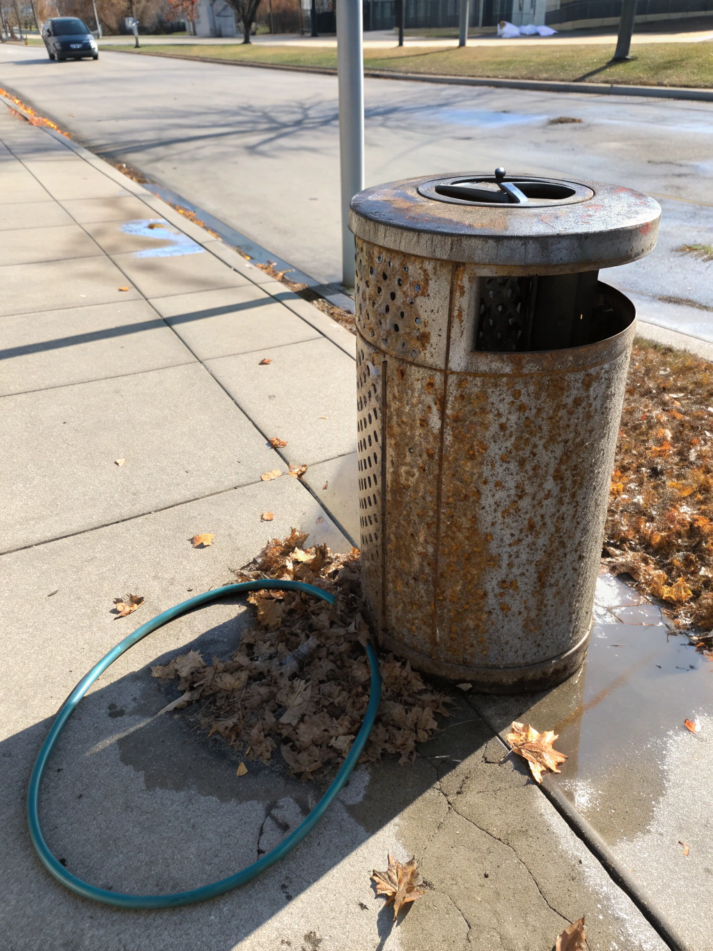 Bin Collection